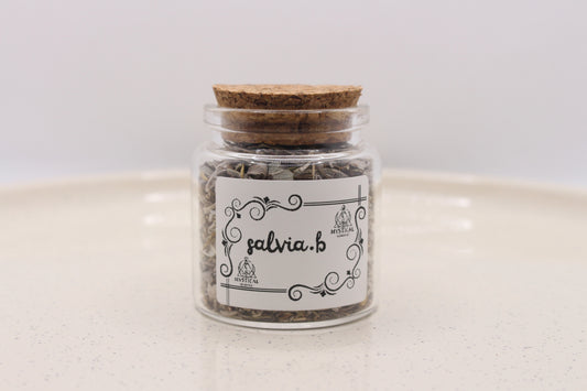 Salvia